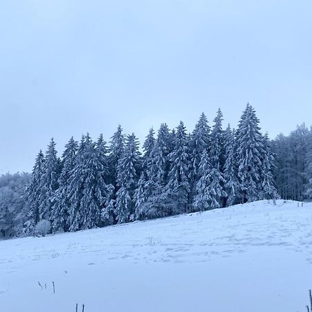 Le Chalet Du Hohwald Exterior photo